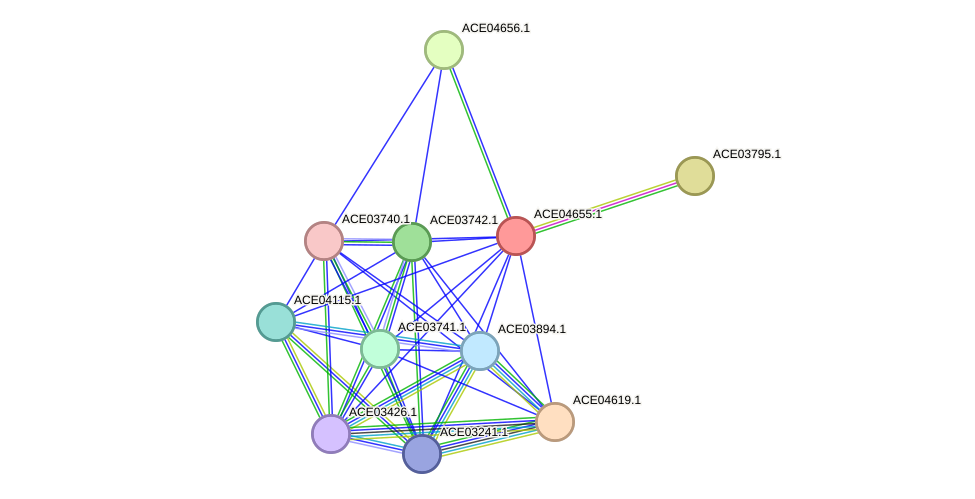 STRING protein interaction network