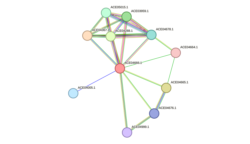 STRING protein interaction network