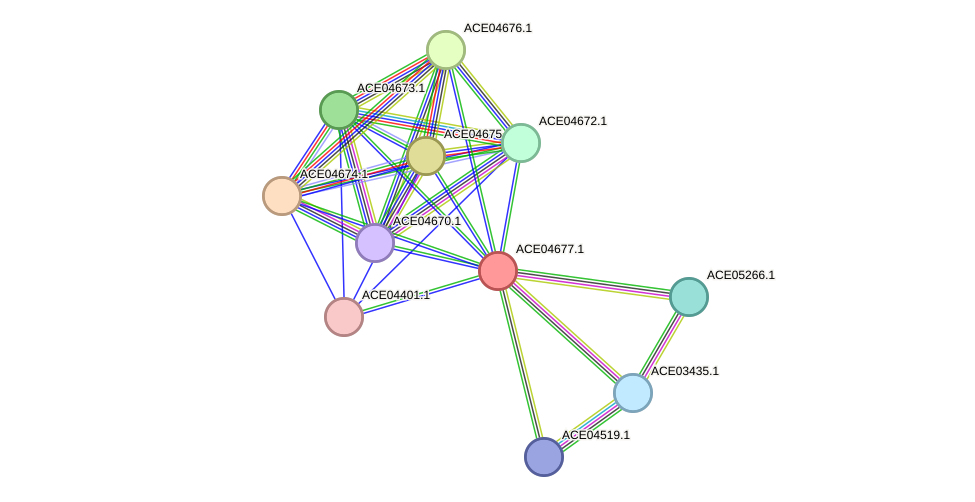 STRING protein interaction network