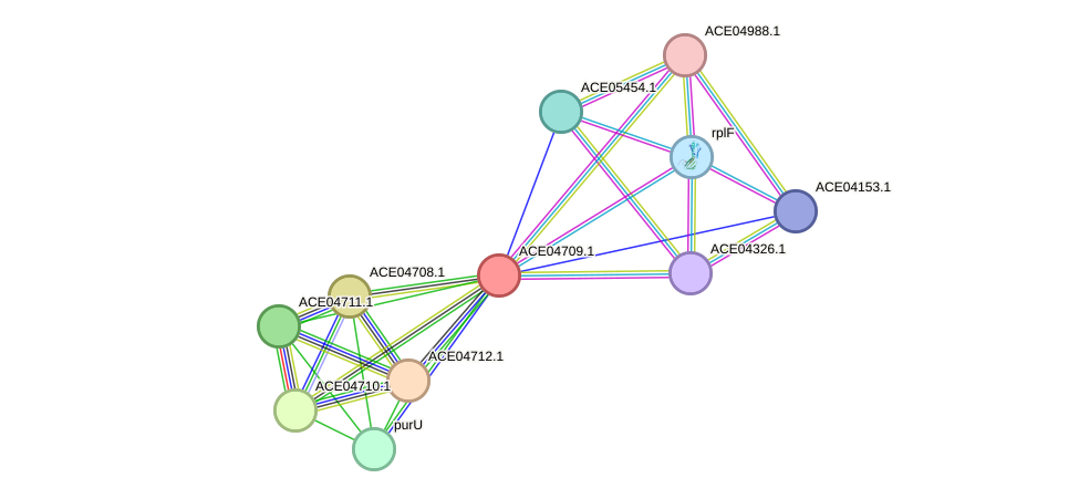 STRING protein interaction network