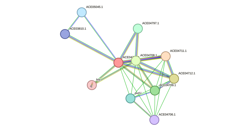 STRING protein interaction network