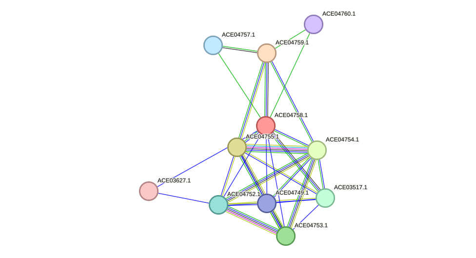 STRING protein interaction network