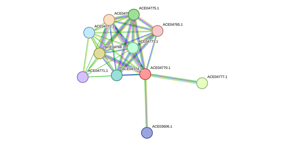 STRING protein interaction network