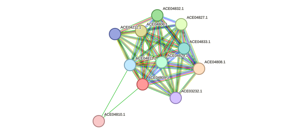 STRING protein interaction network