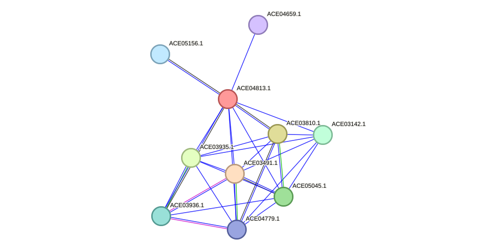STRING protein interaction network