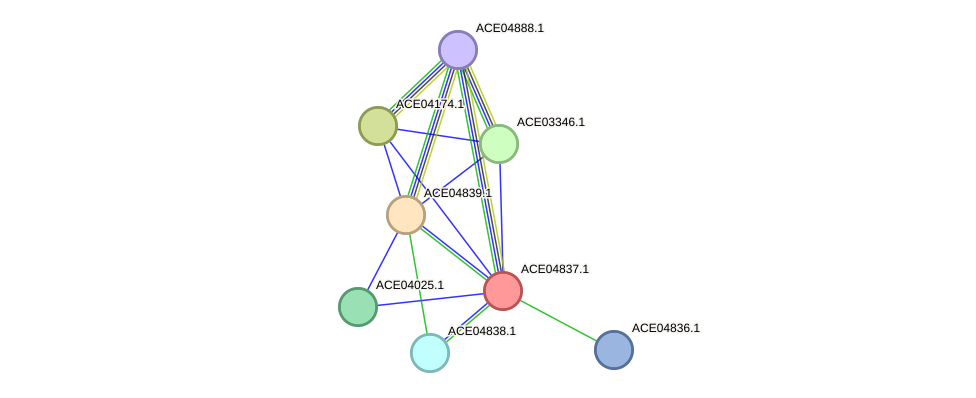 STRING protein interaction network