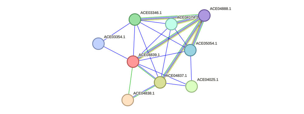 STRING protein interaction network