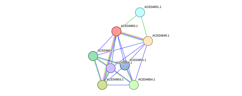 STRING protein interaction network