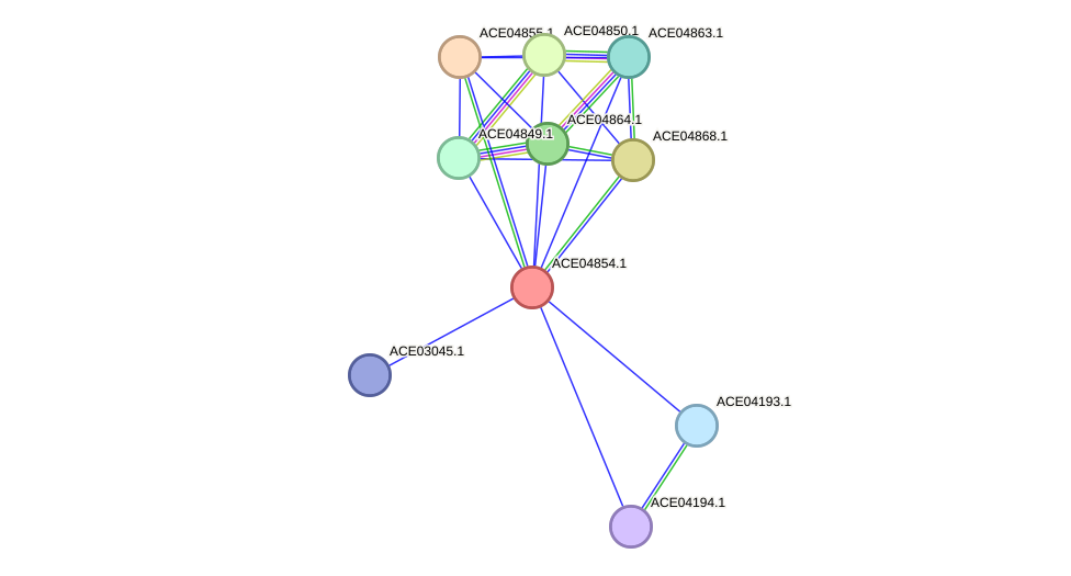 STRING protein interaction network