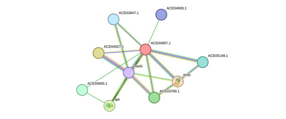 STRING protein interaction network