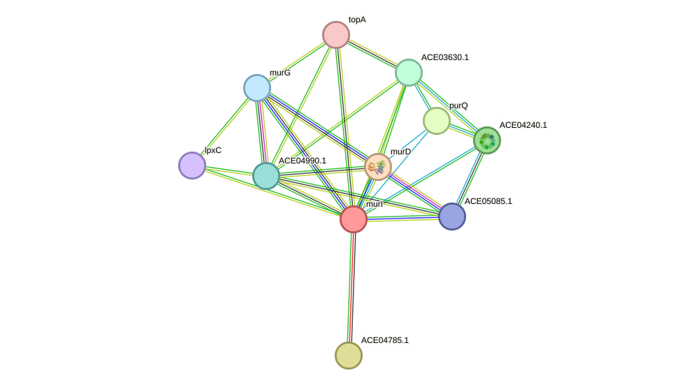 STRING protein interaction network