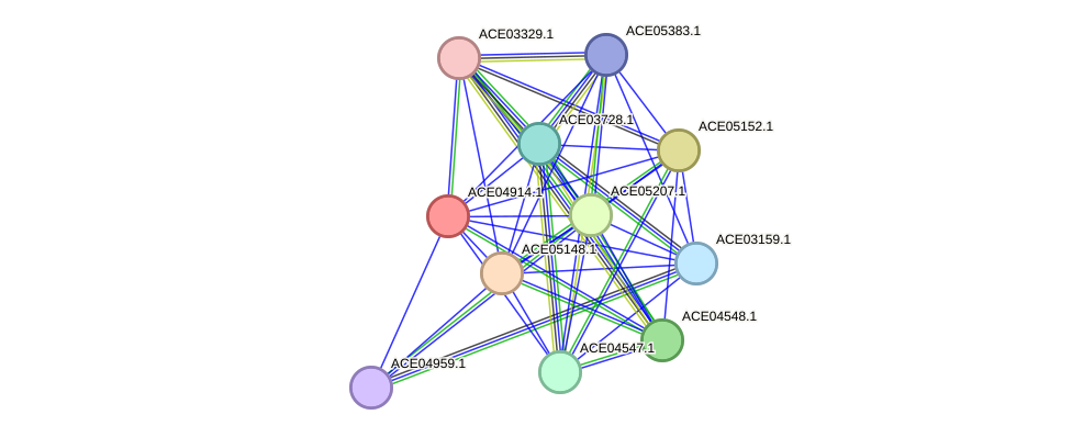 STRING protein interaction network