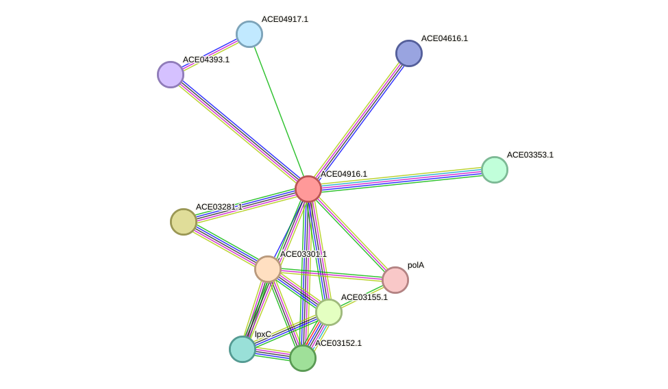 STRING protein interaction network