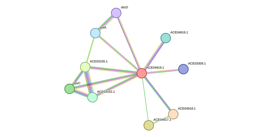 STRING protein interaction network