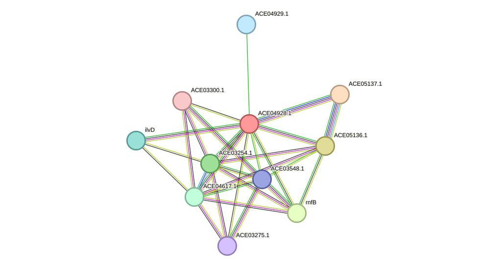 STRING protein interaction network