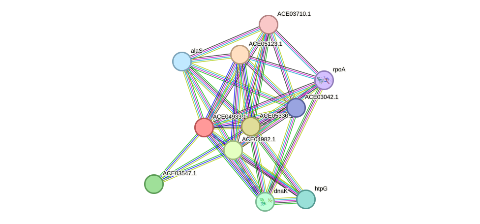 STRING protein interaction network