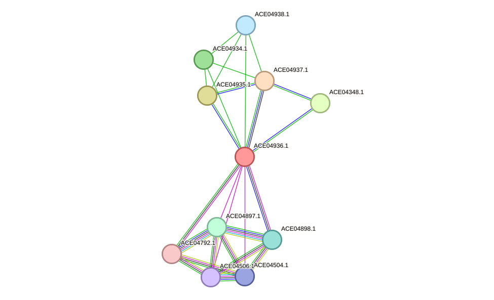 STRING protein interaction network