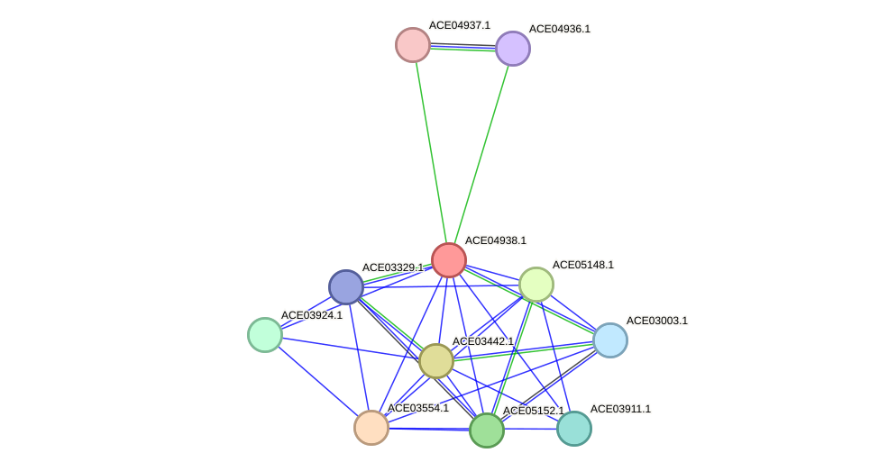 STRING protein interaction network
