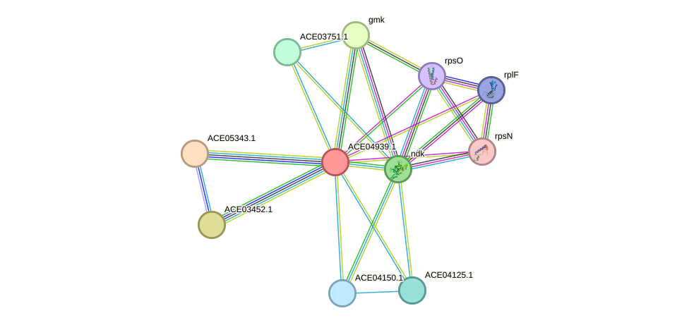 STRING protein interaction network