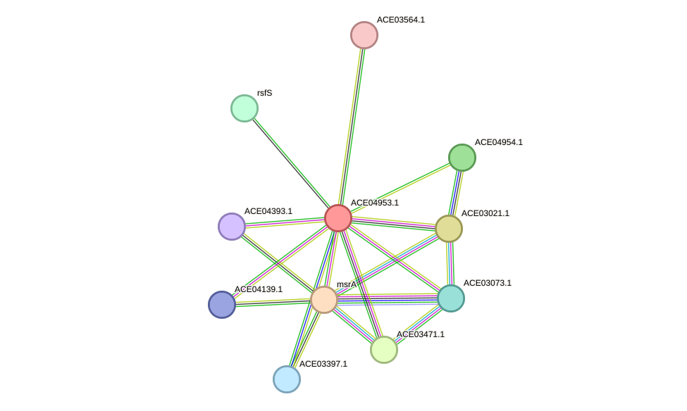 STRING protein interaction network