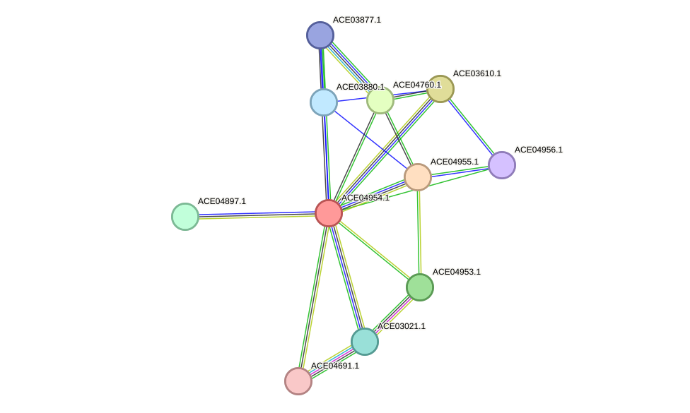 STRING protein interaction network