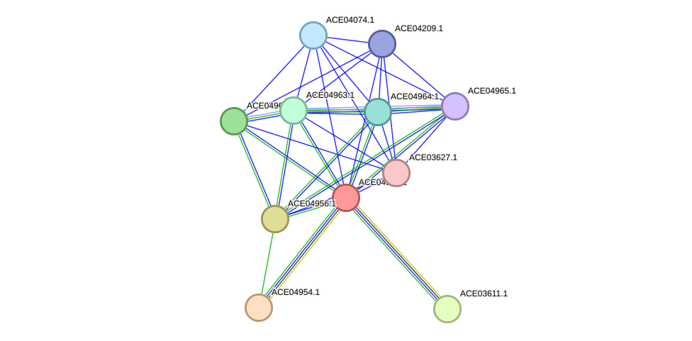 STRING protein interaction network