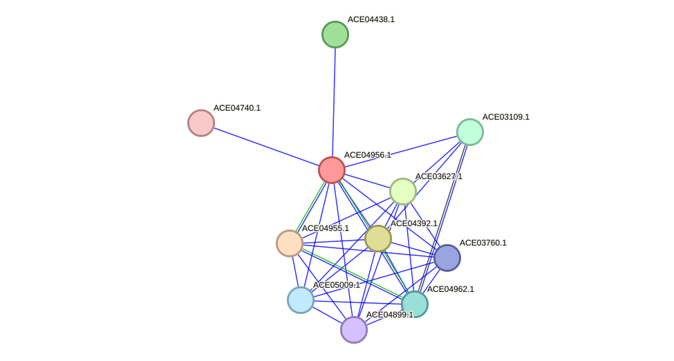 STRING protein interaction network