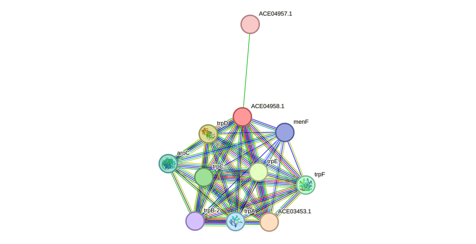 STRING protein interaction network