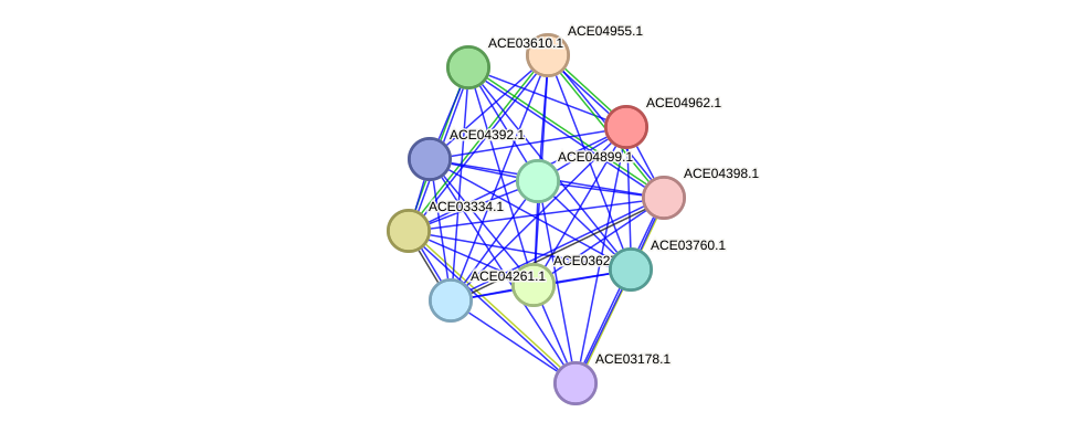 STRING protein interaction network