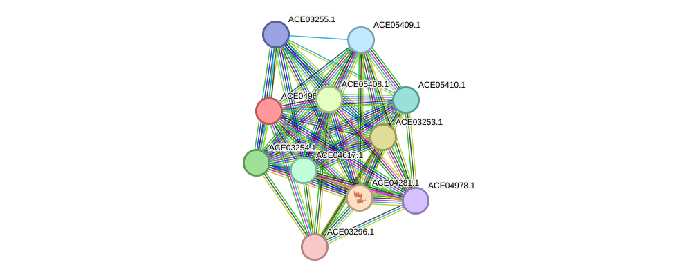 STRING protein interaction network