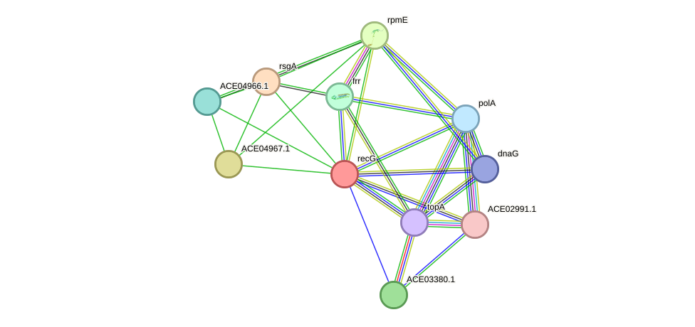 STRING protein interaction network