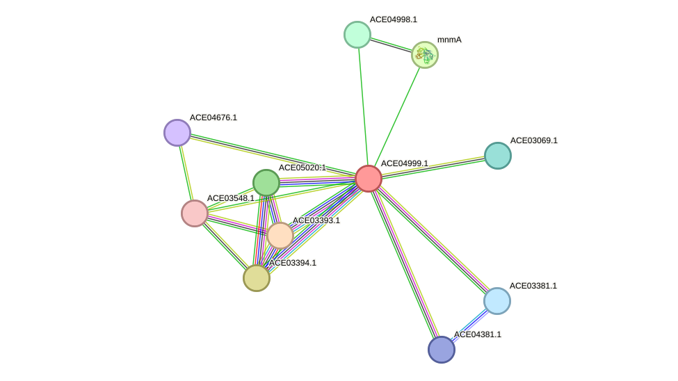 STRING protein interaction network