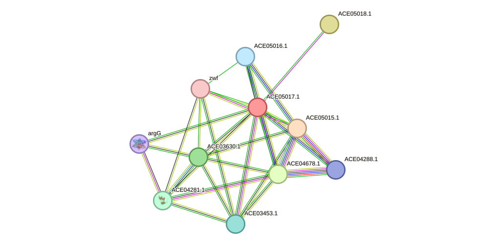 STRING protein interaction network