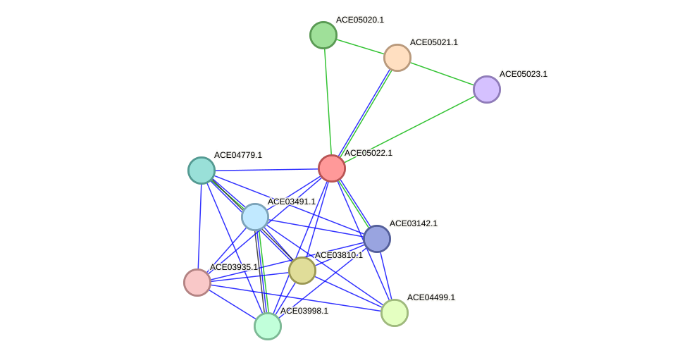 STRING protein interaction network