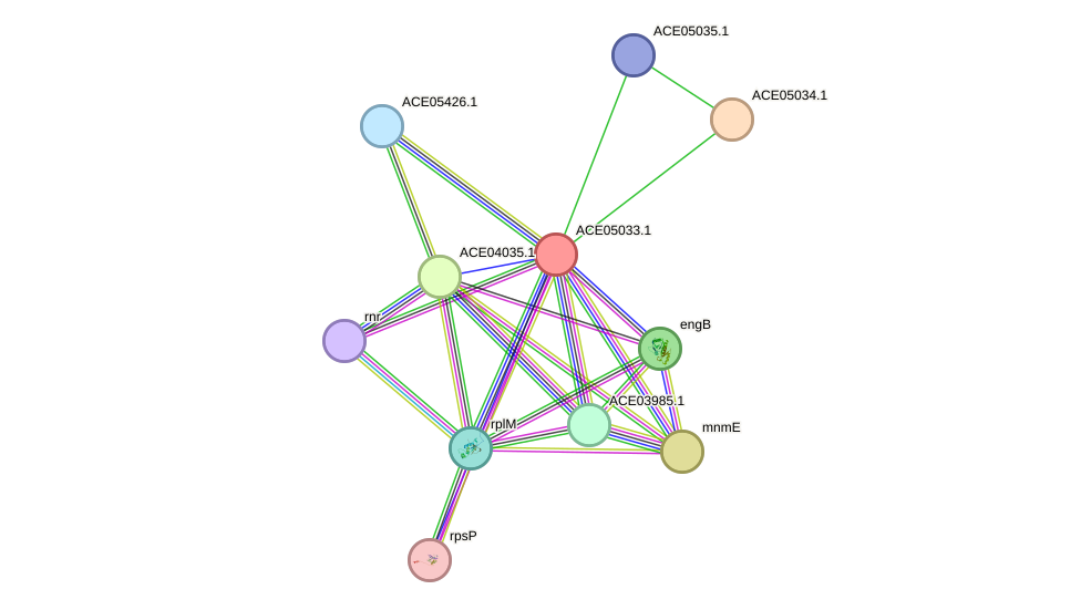 STRING protein interaction network