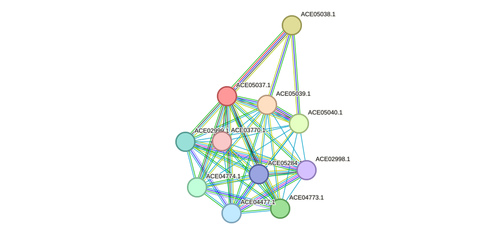 STRING protein interaction network
