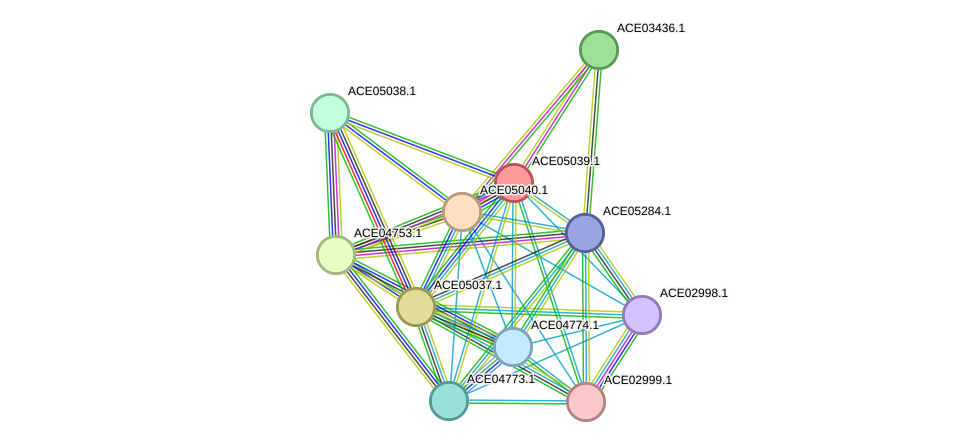 STRING protein interaction network