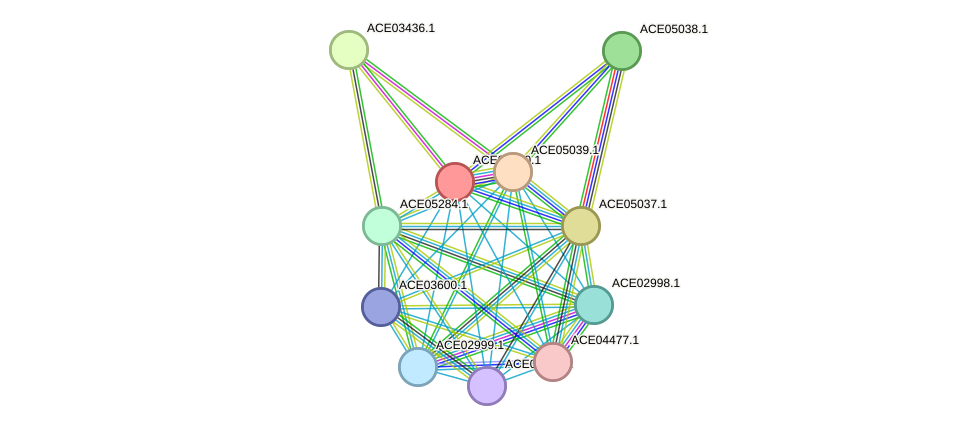 STRING protein interaction network