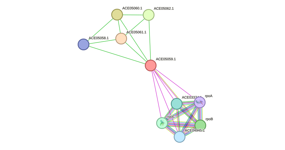 STRING protein interaction network