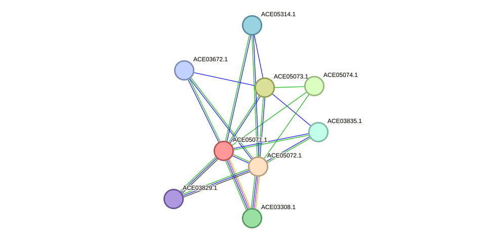 STRING protein interaction network
