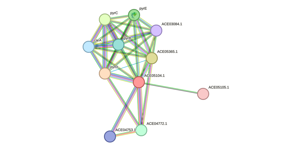 STRING protein interaction network
