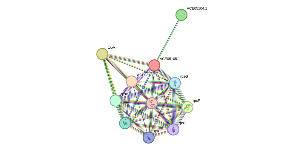 STRING protein interaction network
