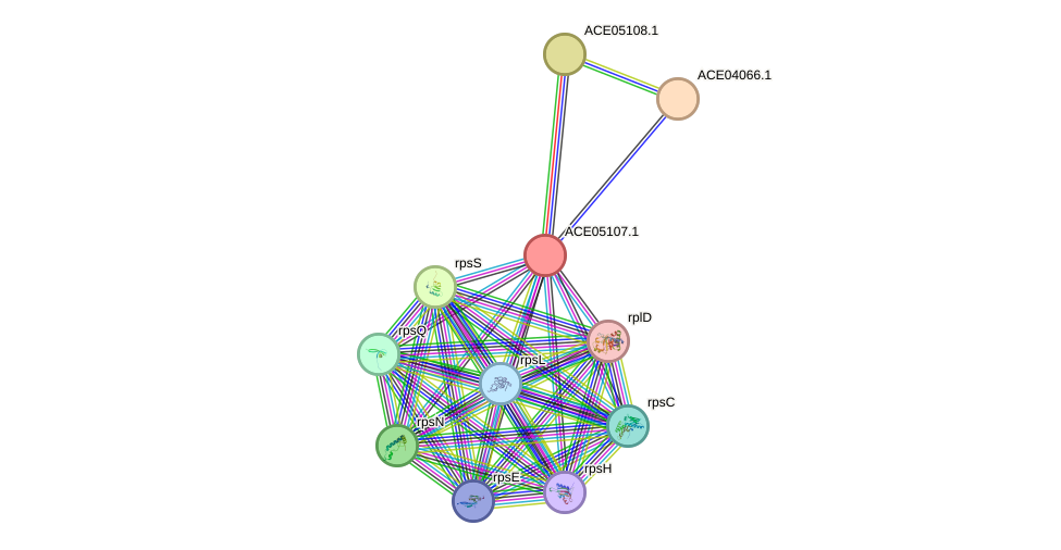 STRING protein interaction network