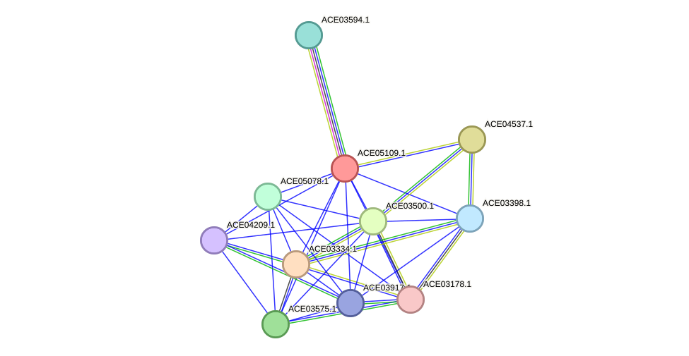 STRING protein interaction network