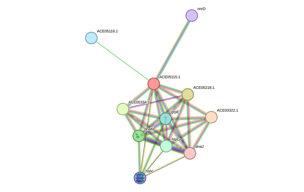 STRING protein interaction network