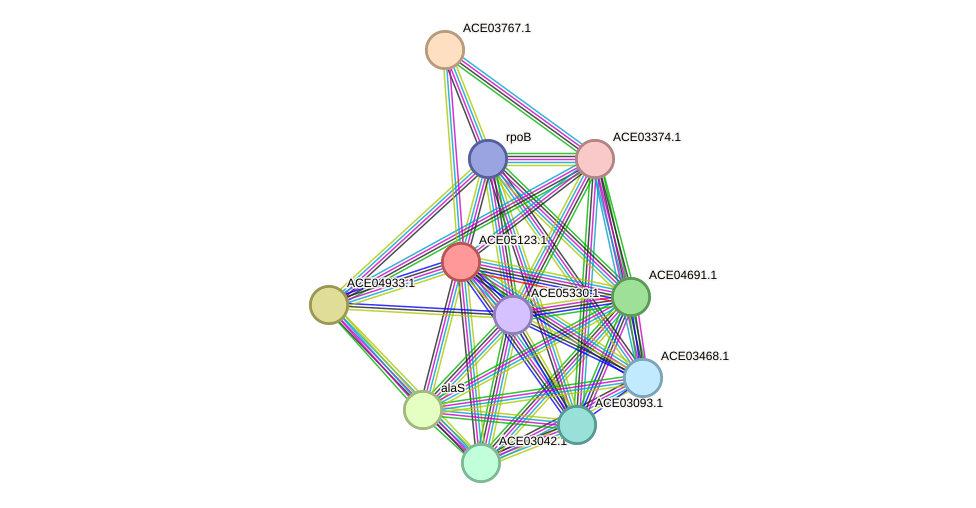 STRING protein interaction network