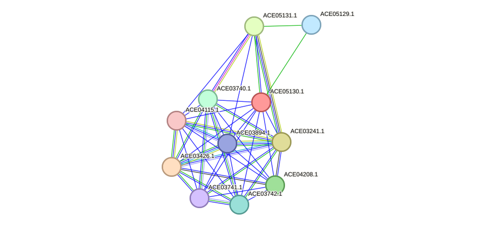STRING protein interaction network