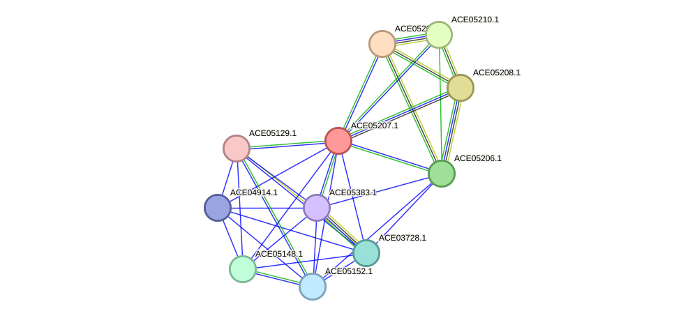STRING protein interaction network