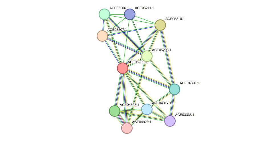 STRING protein interaction network