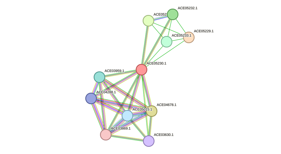 STRING protein interaction network
